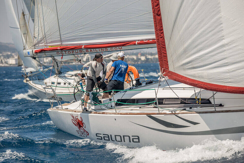 Salona 41 Race Dog