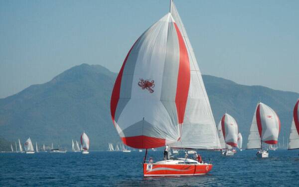 Salona 41 Race Dog